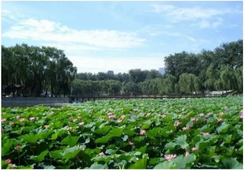 2016北京玩博會，7月14日歡聚全國農(nóng)業(yè)展覽館新館